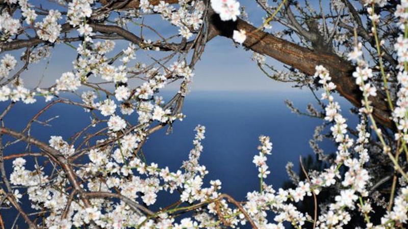 Camí cap a la primavera