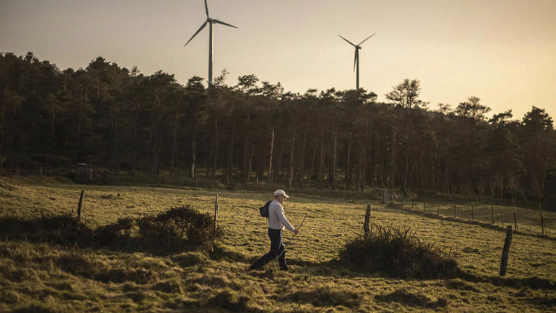 El vino se impone a la energía eólica en la España rural