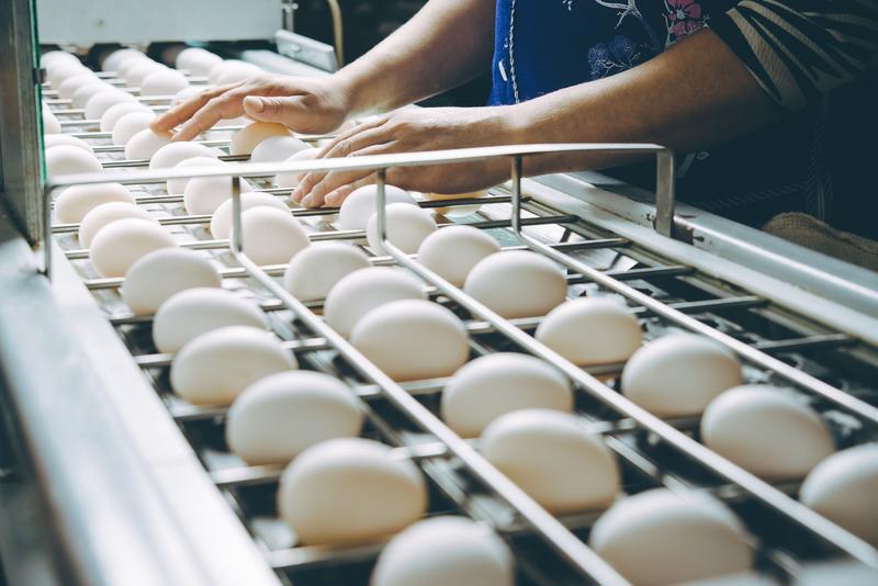 CHARLEBOIS: Egg prices are cracking under pressure