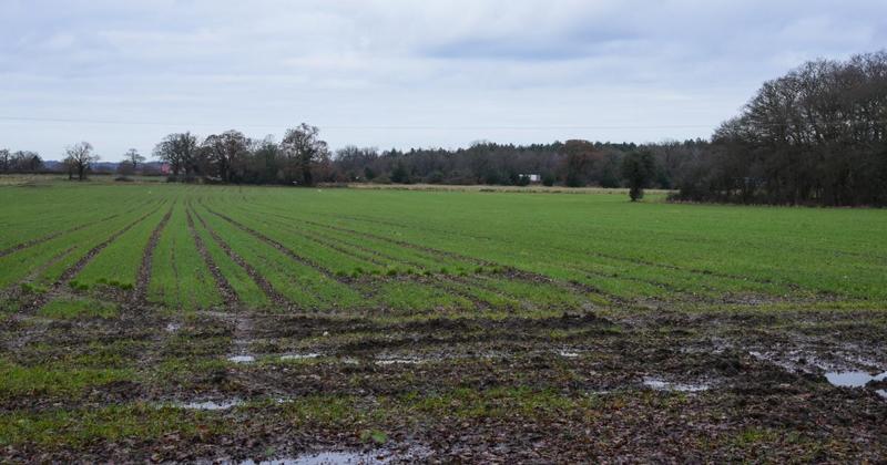 Step forward for huge 180-home estate with new school and country park in village