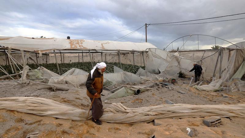 Satellite images show Gaza’s agricultural destruction since its start