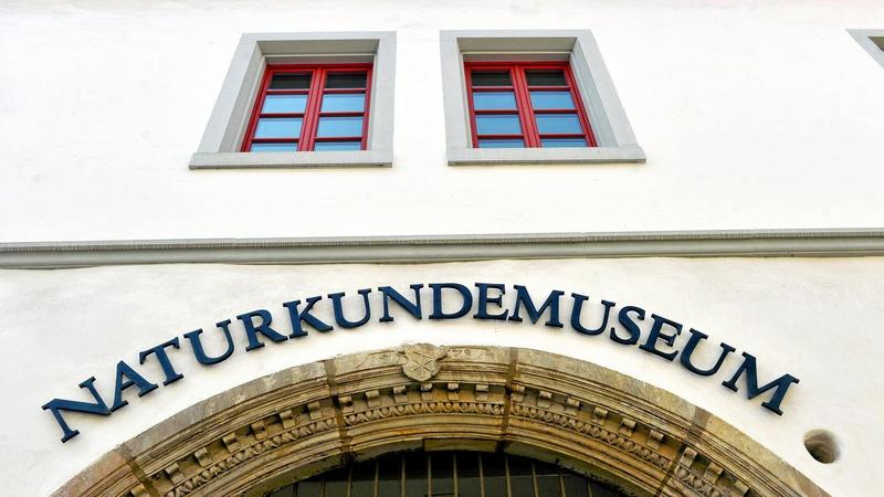 Hiobsbotschaft für das Erfurter Naturkundemuseum