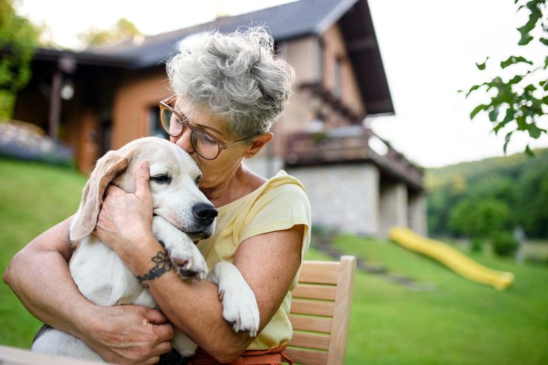 ‘I feel constant anxiety’: how caring for a seriously unwell pet can lead to stress and burnout