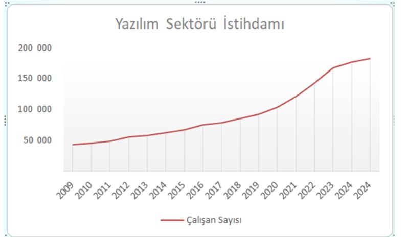 Yazılım ile istihdam ve kalkınma sağlamak