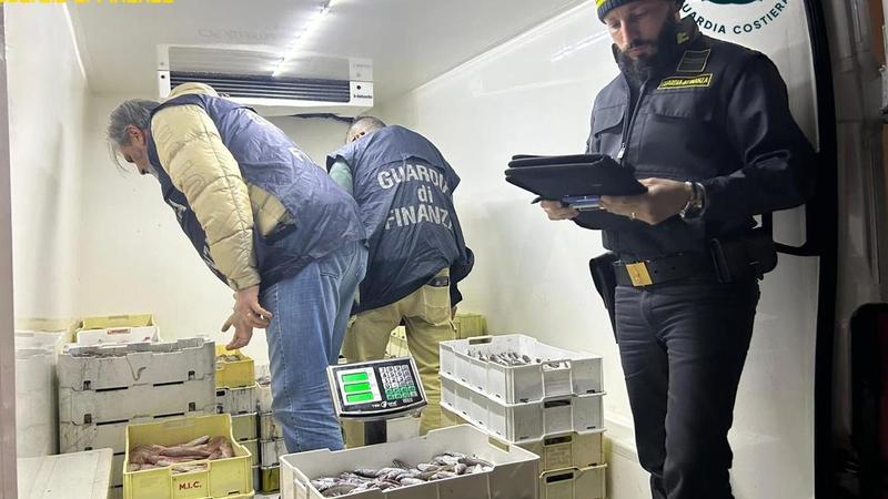 Maxi blitz al porto di Civitanova: sequestrati 600 chili di prodotti ittici