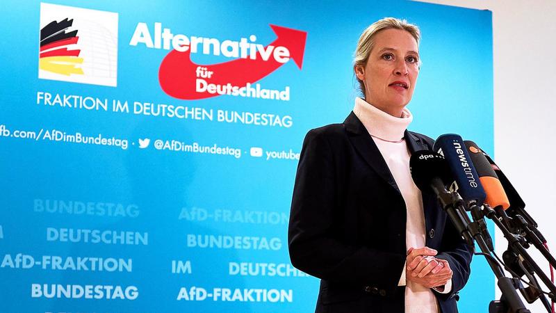 Die Gefahr durch Alice Weidel : Nicht nur Trumps, sondern auch Chinas Liebling