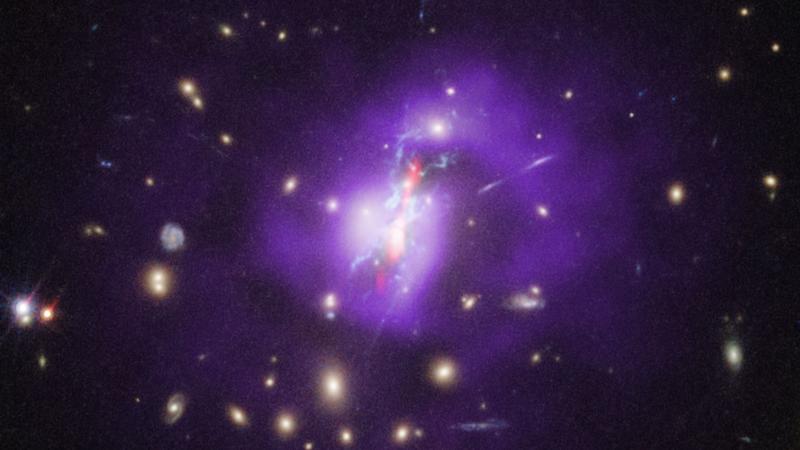 Webb Space Telescope peers into star factory in Phoenix Galaxy Cluster