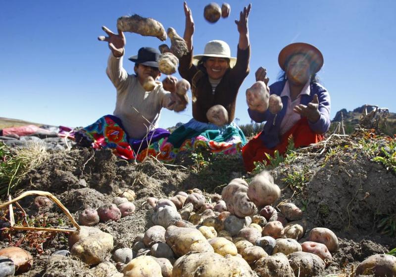 Campesino, el intelectual rojo comerá de tu pobreza 