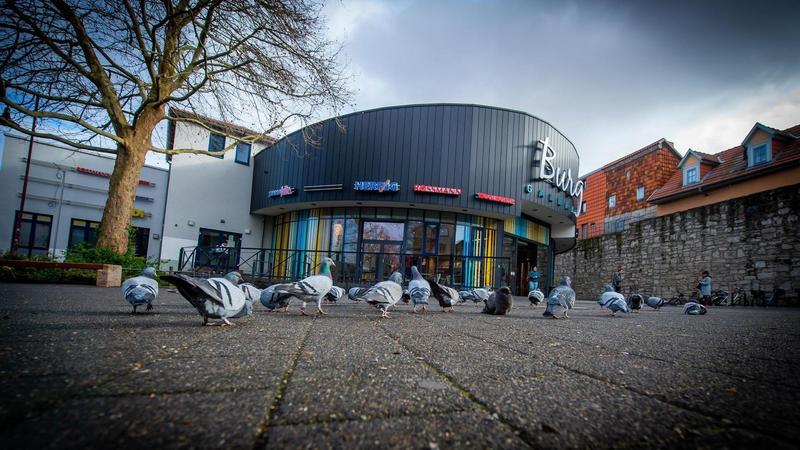 Ekel-Alarm in Mühlhausen: bis zu 5000 Euro Strafe drohen