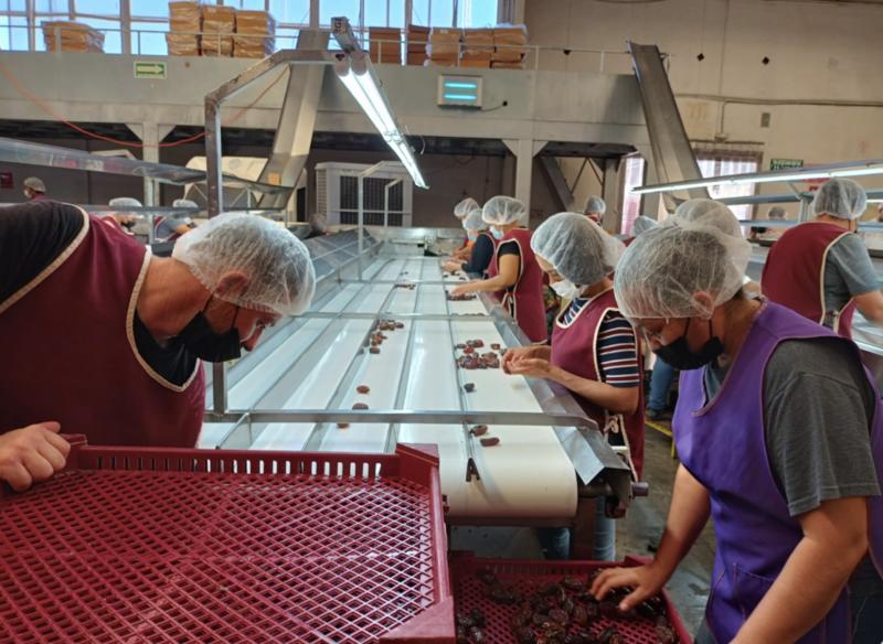 Brillos y sombras de la IA en la agricultura de América Latina