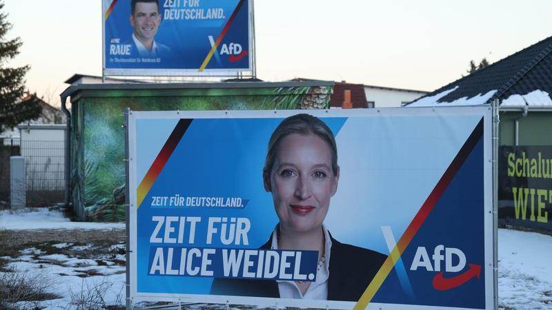 Die AfD, eine Millionenspende – und ein Immobilienmogul