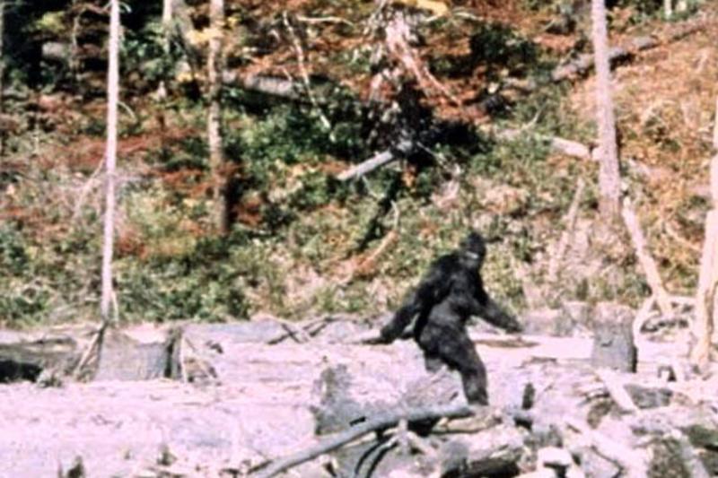 California takes steps toward officially recognizing Bigfoot