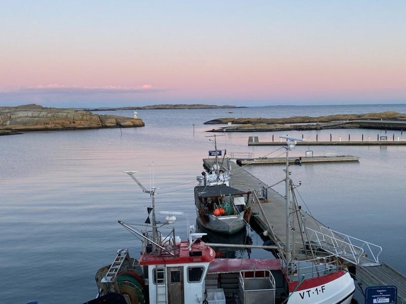 Alle er opptatt av Oslofjorden