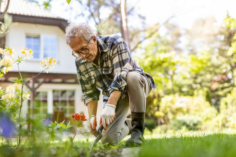 Having an x-ray to diagnose knee arthritis might make you more likely to consider potentially unnecessary surgery