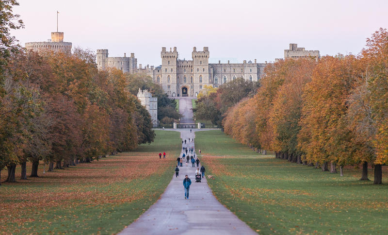 Long life /					 													 						A game of hide-and-seek with the Queen