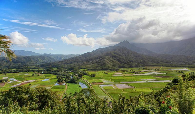 Hawaii's precious habitats are 'literally screwed' after federal cuts