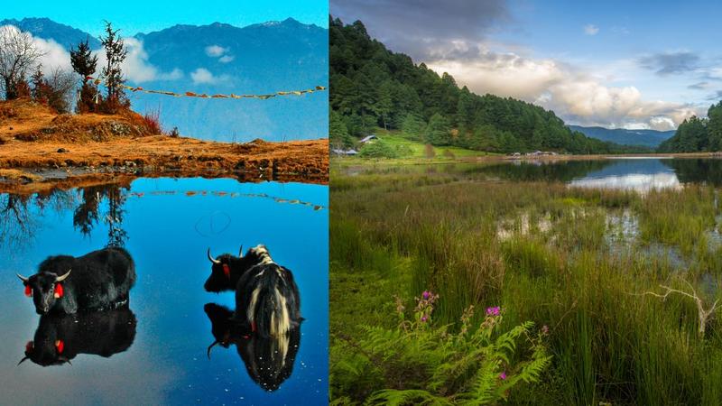 Arunachal Pradesh Foundation Day 2025: Discovering the flora and fauna of India’s ‘Orchid State’