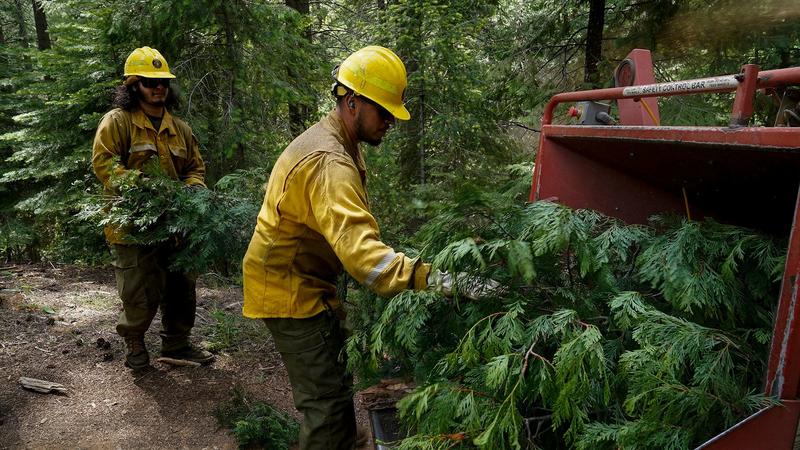 Forest Service workers warn Trump’s mass layoffs will make wildfires worse