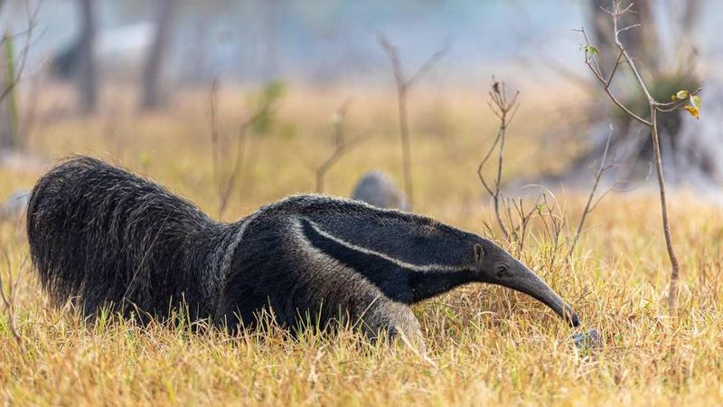 Farbe bekennen für die Natur