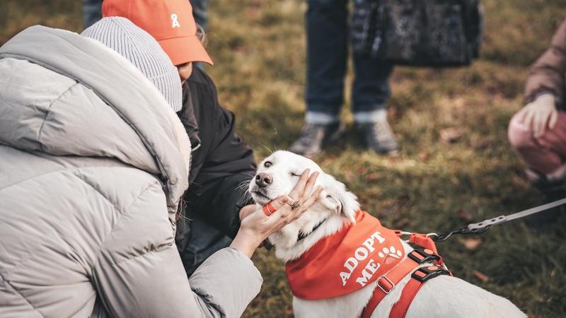 Tierisches Speed-Dating im Erfurter Nordpark