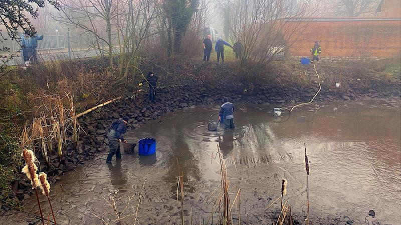 Löschwasser statt Schlamm: Dorfteich im Weimarer Land ausgebaggert