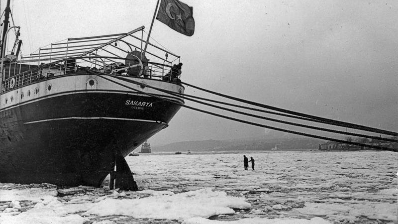 İstanbul’un kışları ve kuşları