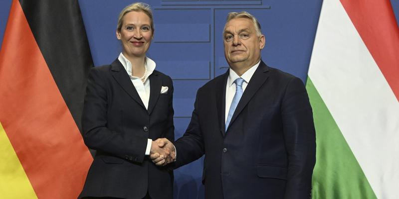 Orban gratuliert Weidel - und nicht Merz  