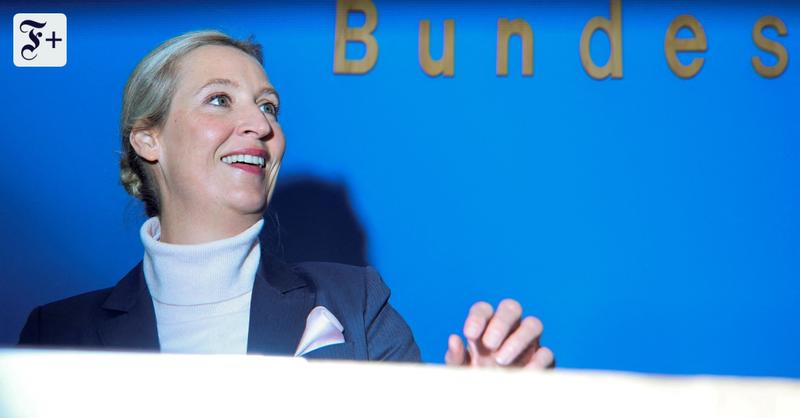 Weidel will die Wahlbetrüger jagen