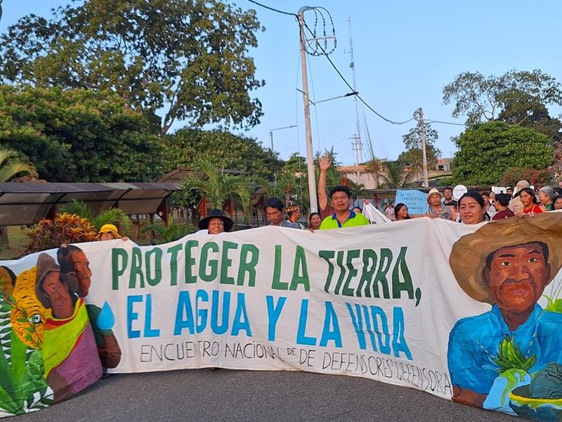 Monocultivos invaden territorios indígenas de Perú con ley antiforestal