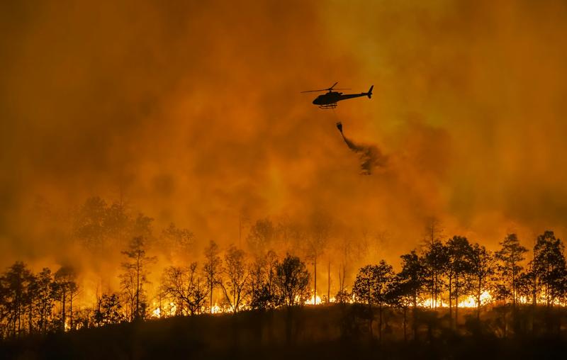 Trump’s war on climate science is pushing us into a dystopian future