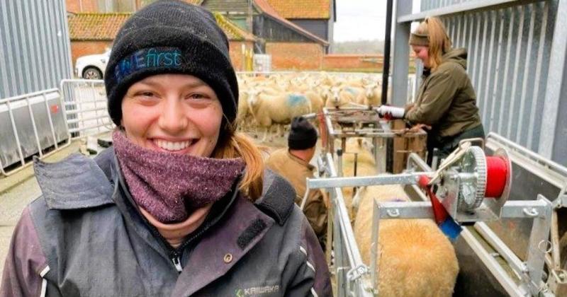 Shepherdess gears up for a hectic first lambing season at historic Norfolk estate