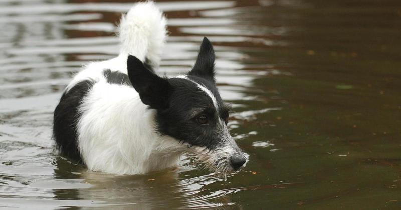 Flood alert remains in place for part of Norfolk