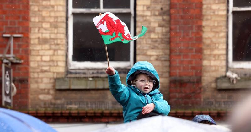 Making St David's Day a national holiday would provide an economic boost