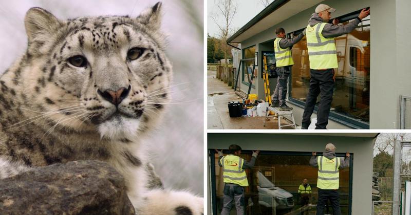 Zoo upgrades star attraction so visitors get closer look at endangered species