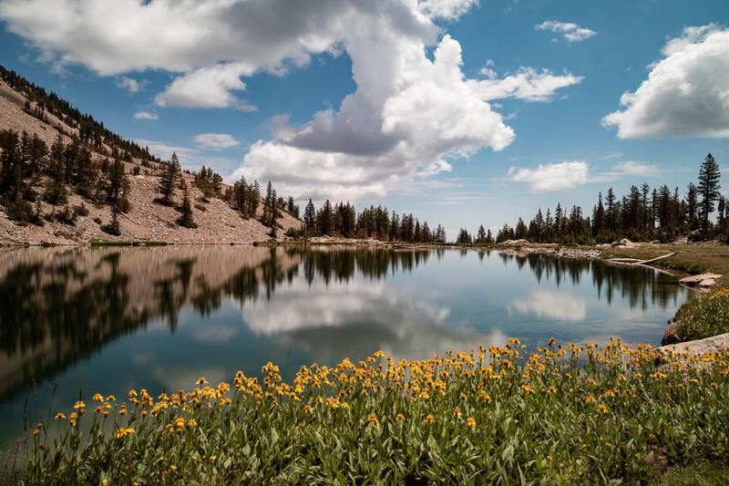 This tiny town is in shock after its national park lost 20% of its staff