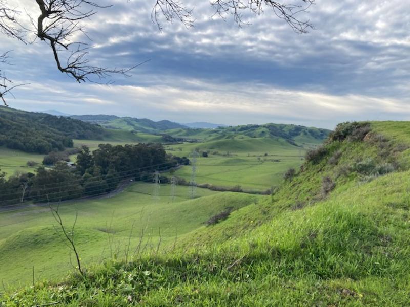 This lovely, secluded Bay Area hike has In-N-Out right nearby