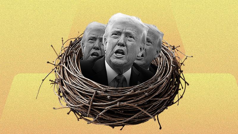 ‘Trump Take Nest Egg’: How 2025’s best meme evolved to take on our tanking economy