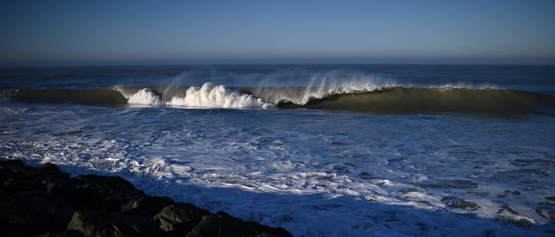 Idiot Attempts To Fight Massive Sea Lion In Scene That Almost Went Completely Off The Rails