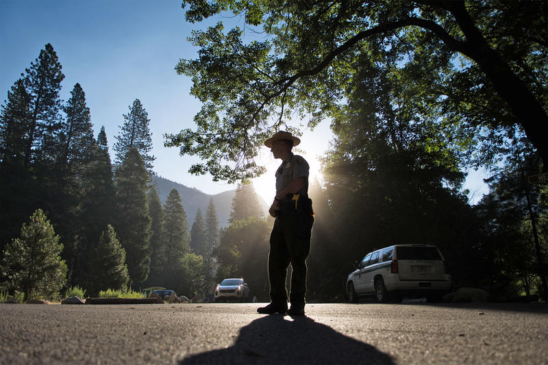 Trump admin imposes $1 credit card limit on National Park Service employees