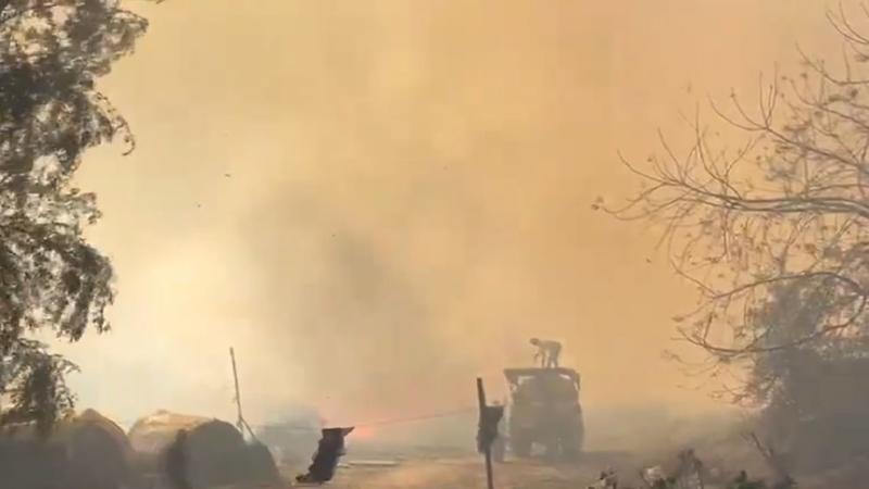 Noida fire: Major blaze breaks out at dumping yard near Wave city Centre