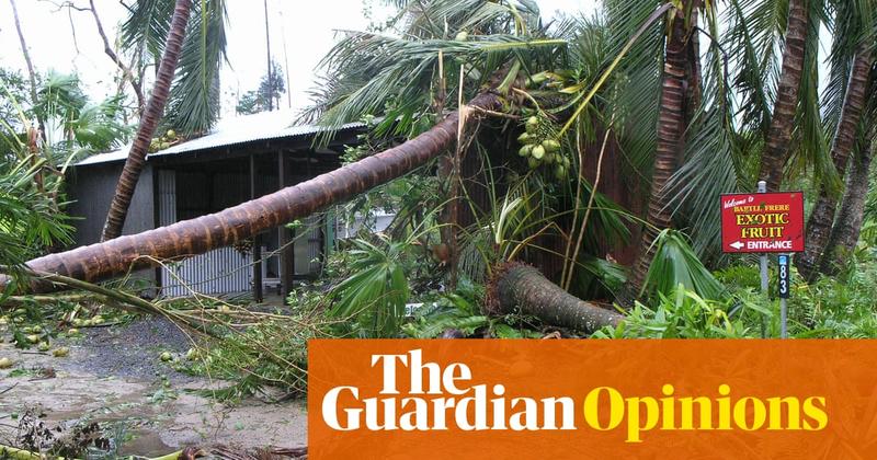 Fallen trees, howling wind and drunken parrots: bracing for Alfred, I remember another Queensland cyclone