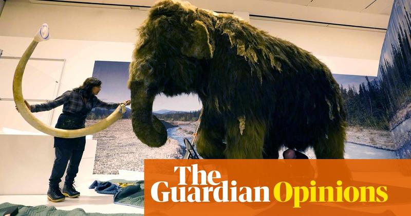 Reviving the woolly mammoth isn’t just unethical. It’s impossible