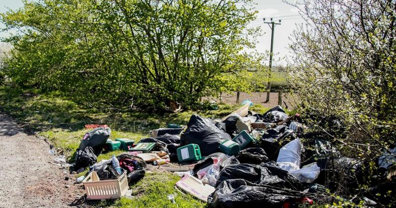 Neil Mackay: My one-man war against the Phantom Fly-tipper of East Ren