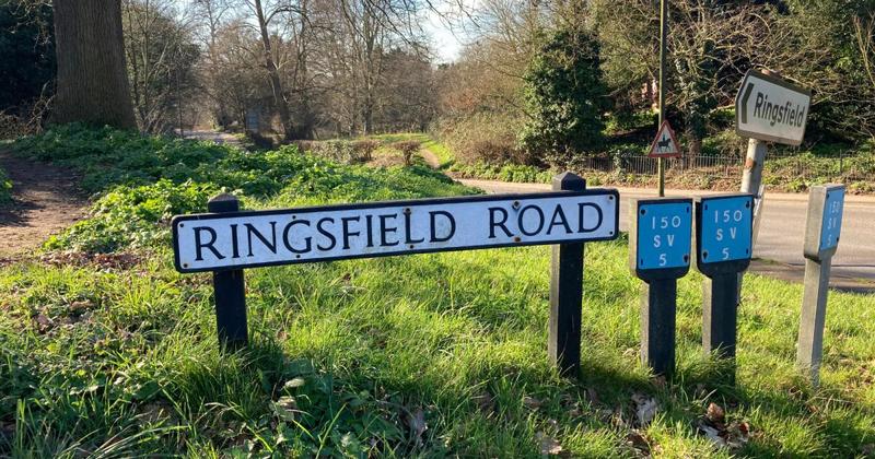 Uproar as bike ramps flattened in woodland