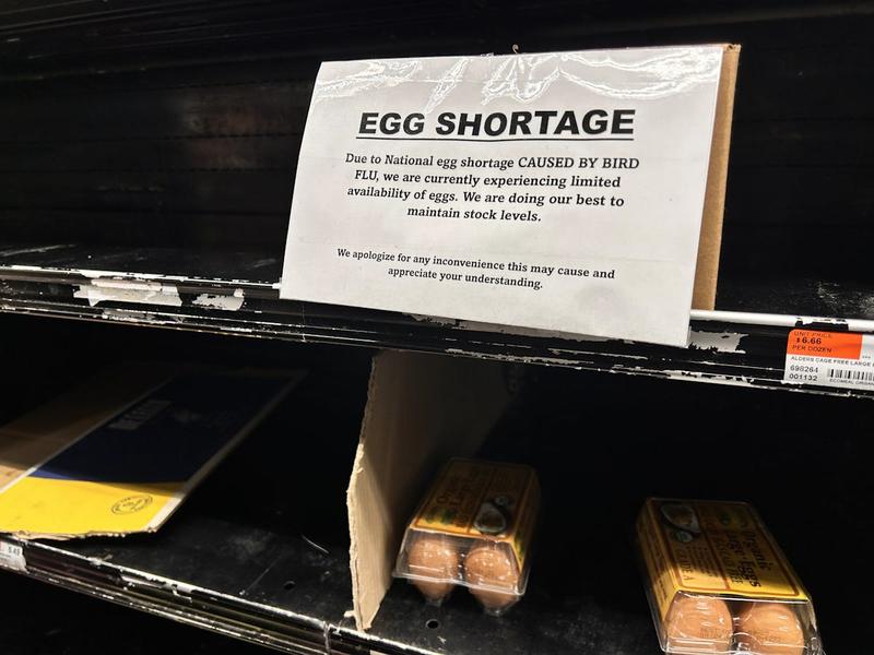 Trump’s Plan to Fix Egg Price Crisis Is Already Falling Apart