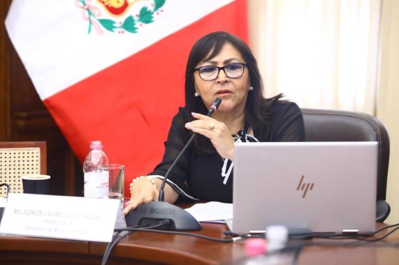 ¿Por qué está mal lo que dijo la congresista Milagros Jáuregui de Aguayo?