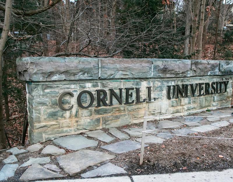 Cornell student who praised Oct. 7 told to surrender to US immigration authorities